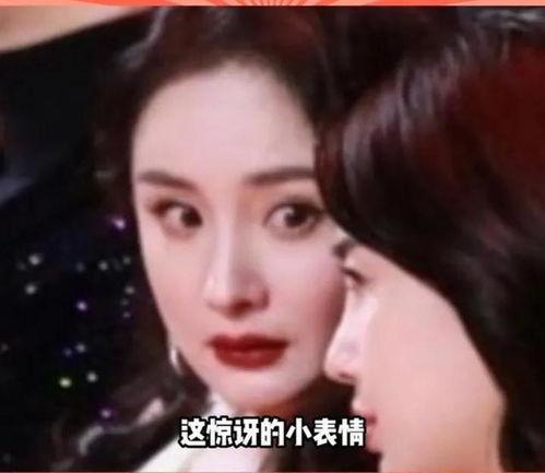 娱乐圈瓜吃,揭秘明星幕后故事